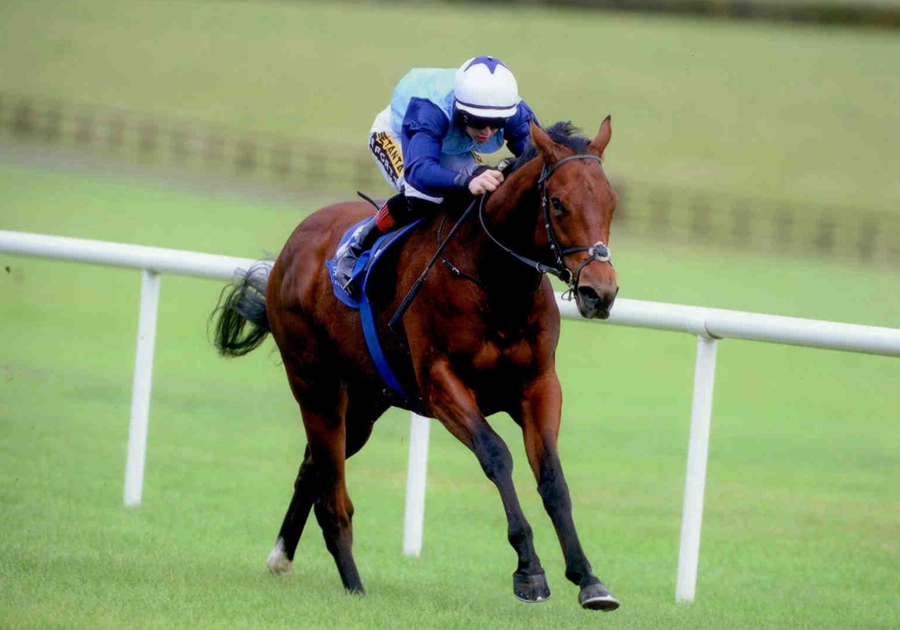 Endless Drama Naas 19th Oct 2014